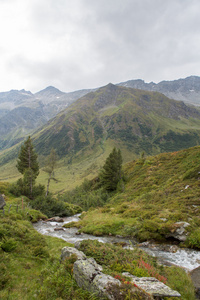 在奥地利的田园高山景观