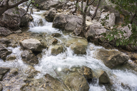 小山流