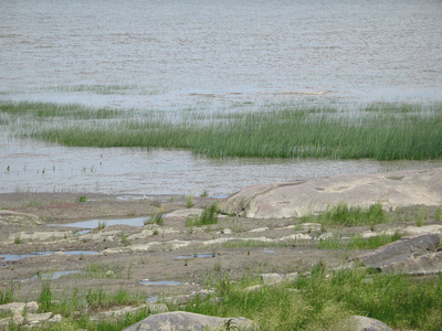 河道岸线