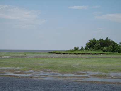 河道岸线