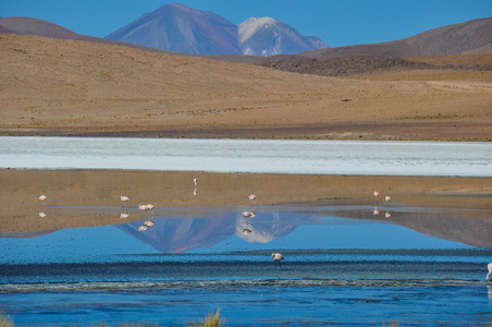 南玻利维亚 sur 利佩斯的华丽景观