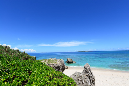 在夏季，华丽的海滩