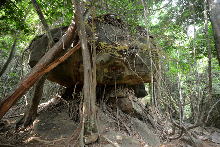 亚洲柬埔寨吴哥 kbal 发言