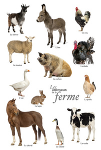 法国教育海报与农场中的动物图片