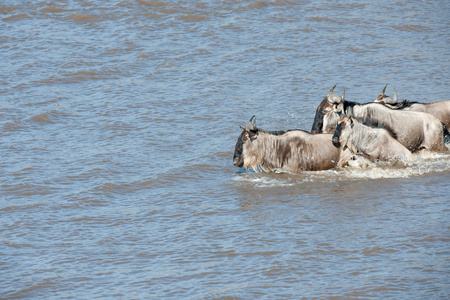 gnu 迁移