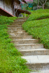 穿过草山的混凝土台阶