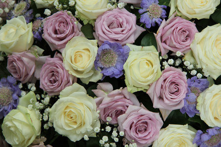 紫色和白色婚礼玫瑰