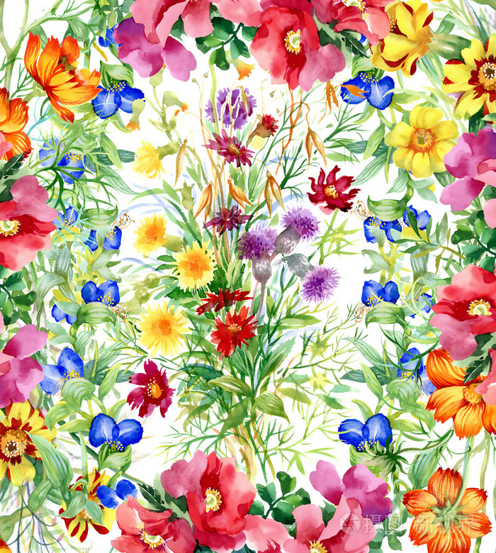 五颜六色的水彩野花