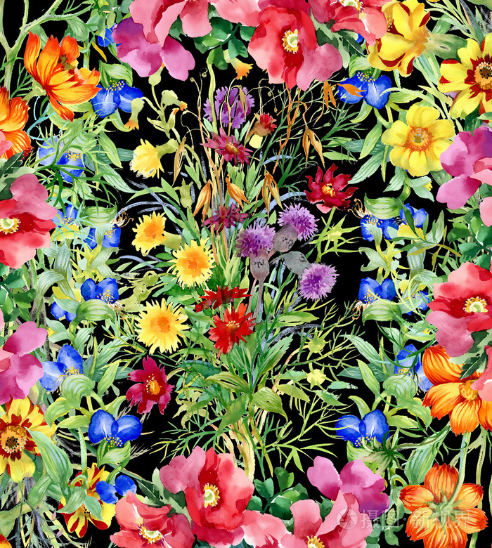 五颜六色的水彩野花