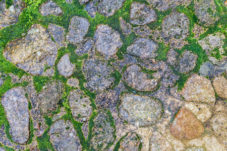 长满了苔藓的石头地板