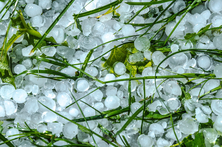 冰雹冰球在一场大雨后的草