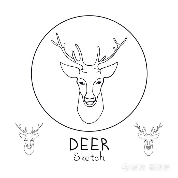 孤立在白色背景上的鹿头