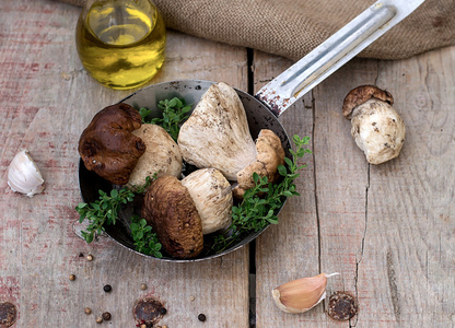 Pilze Steinpilzen mit Krutern in der Pfanne