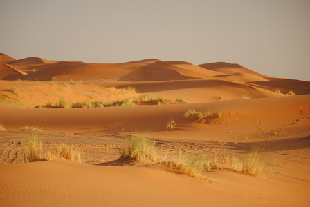 在摩洛哥,非洲的撒哈拉大沙漠照片