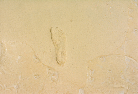 沙中的足迹