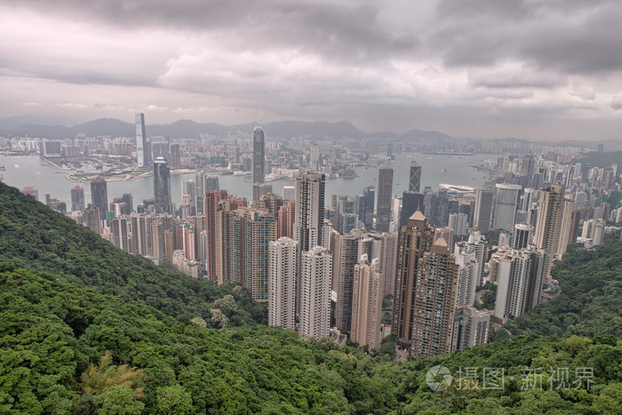 令人惊叹的 Hong 香港与森林 城市和海港的视图