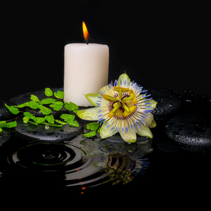 莲花状的蜡烛图片