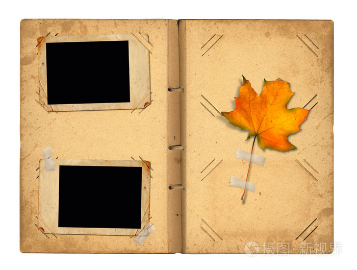 用白色的红叶打开老式相簿照片