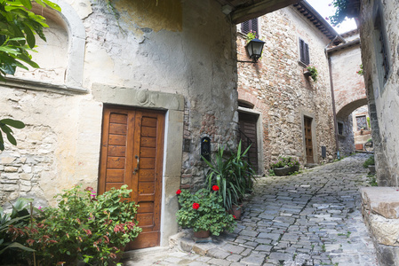 Monte FioralleChianti Tuscany