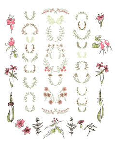 对称花卉图形设计元素集图片