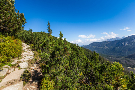 从徒步越过 tatra 山脉的景色。波兰。欧洲