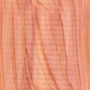 雪松木的无缝纹理平铺图片