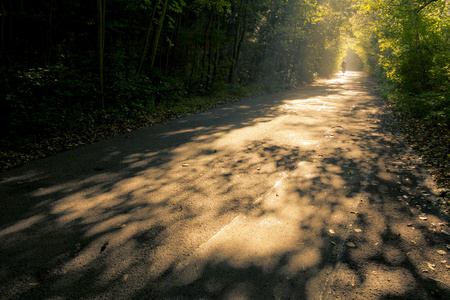 与美妙的清晨曙光路