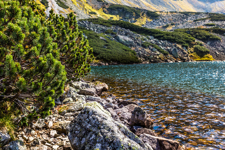 越过 tatra 山脉，波兰 5 湖泊流域的高山湖泊