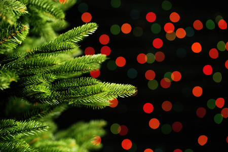 圣诞树阳光透过夏日森林的树干照耀抽象的闪闪发光的圣诞树,用模糊的