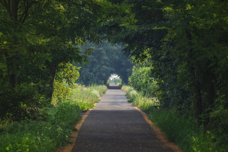 隧道