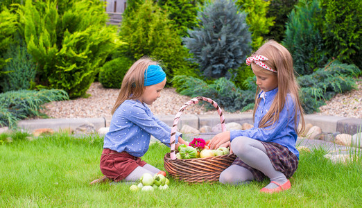 两个小快乐女孩与伟大的秋季收获，西红柿在篮子里