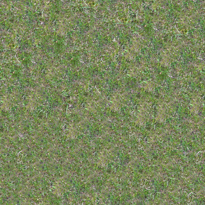 绿色与那张泛黄的草的草地