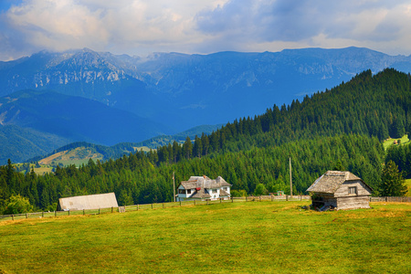 在山的美丽的夏天景观。罗马尼亚