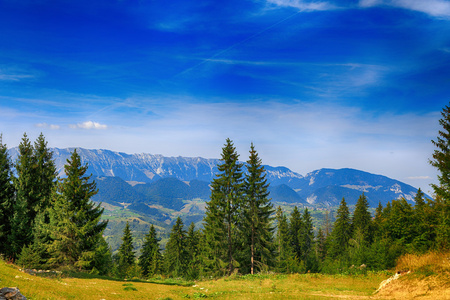 在山的美丽的夏天景观。罗马尼亚