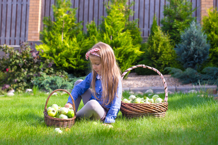 可爱的小女孩，与秋收的西红柿在篮子里