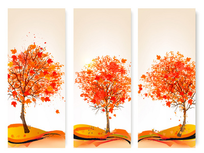 五颜六色的树叶和 trees.vec 三种秋抽象横幅