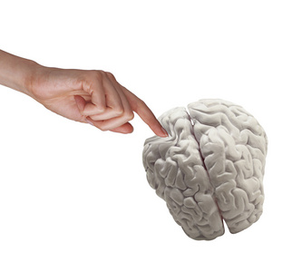 用手抚摸人类大脑的白色背景