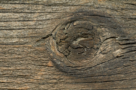 老的天然木材