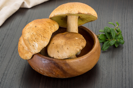 牛肝菌蘑菇
