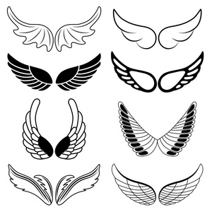 组的八个黑色和白色轮廓的翅膀