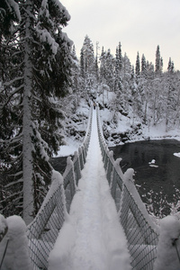 步行桥北极光国家公园。芬兰