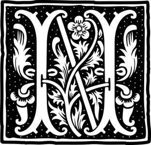 英语字母表的花朵装饰，单色字母 n