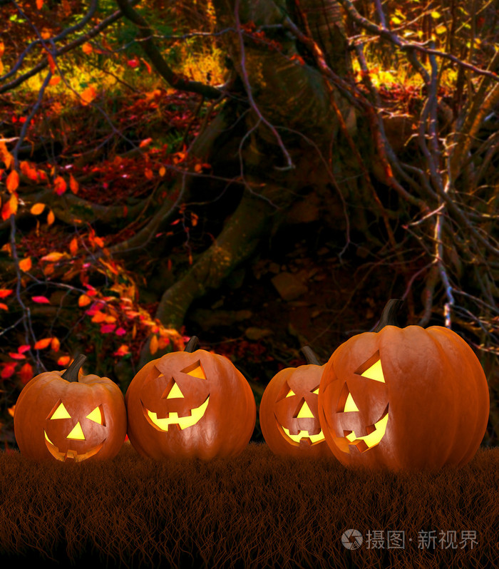在森林里的南瓜与万圣节背景场景
