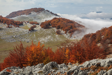 梅山