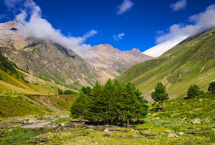 高山