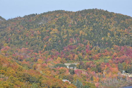 从炮台山在美国新罕布什尔州落下的树叶视图