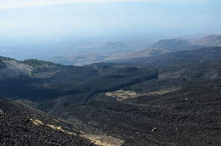 坡长满硬的火山熔岩图片