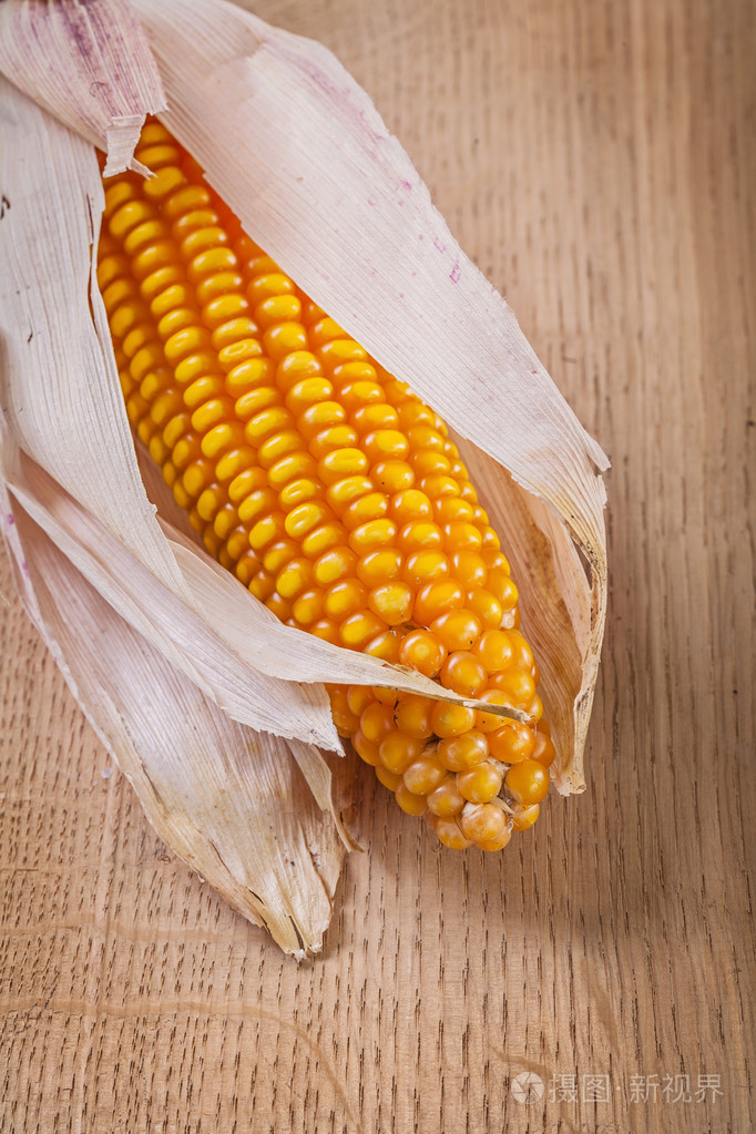 玉米穗