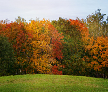 秋季景观，本赛季的明亮的颜色