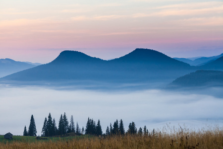 雾和云山山谷风景